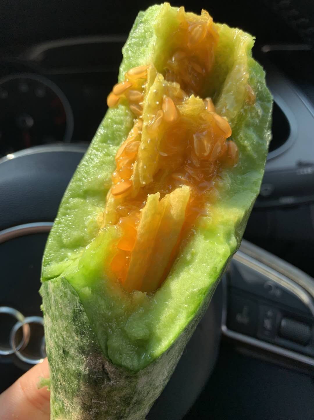 羊角蜜甜瓜种子  冰一样脆，蜜一样甜，清脆爽口