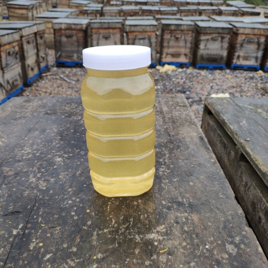 平南县油菜蜜 塑料瓶装 2年  