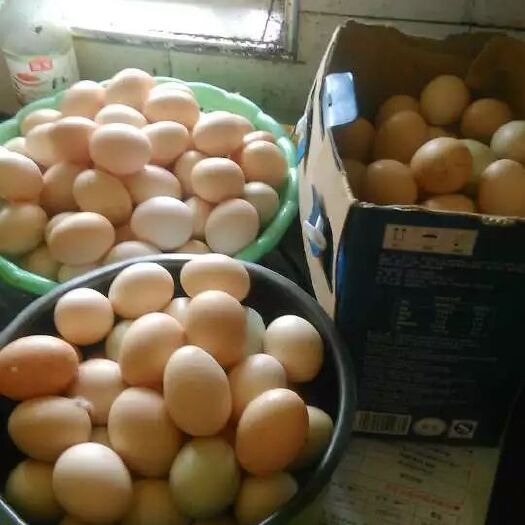 溆浦县土鸡蛋 食用 箱装 
