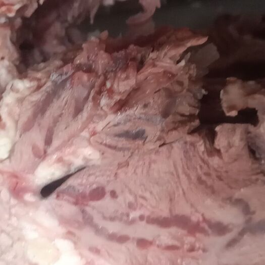 牛肉类  全熟牛头肉，真空包装