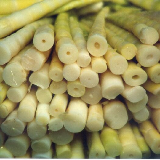 雷波县罗汉笋 鲜笋 