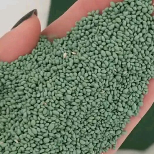 郓城县狗牙根种子 