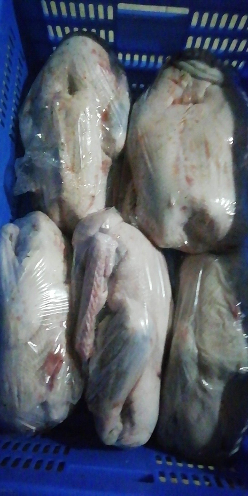 鹅肉类 冷冻 