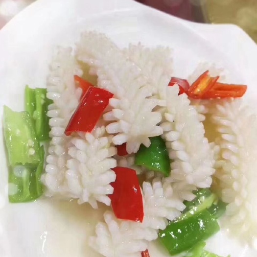 烟台鱿鱼 