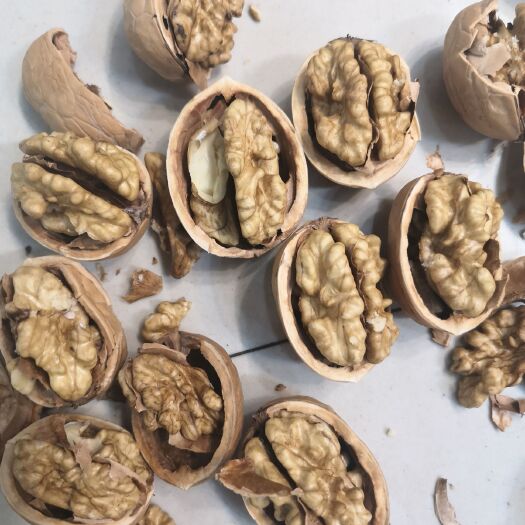 义乌市新疆新2薄皮核桃 