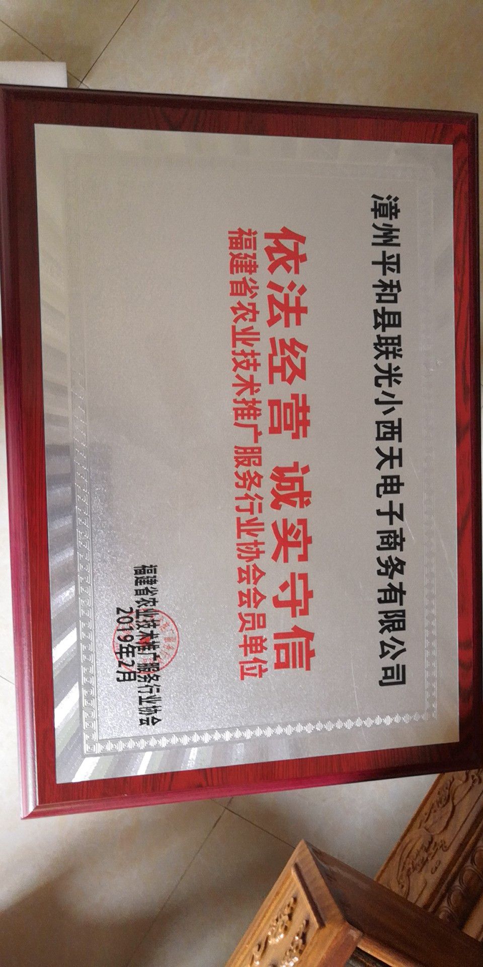 琯溪 平和蜜柚苗  福建平和三红蜜柚苗【无籽大红肉】
