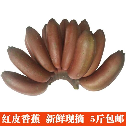 南宁红蕉  八成熟 精选广西红蕉5斤包邮 一件代发