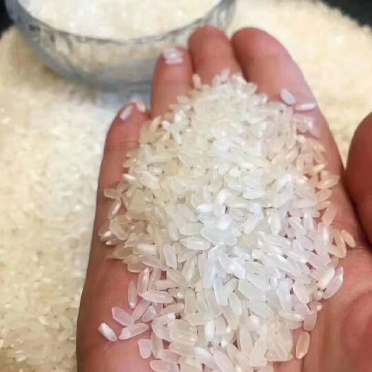 五常市 纯稻花香大米