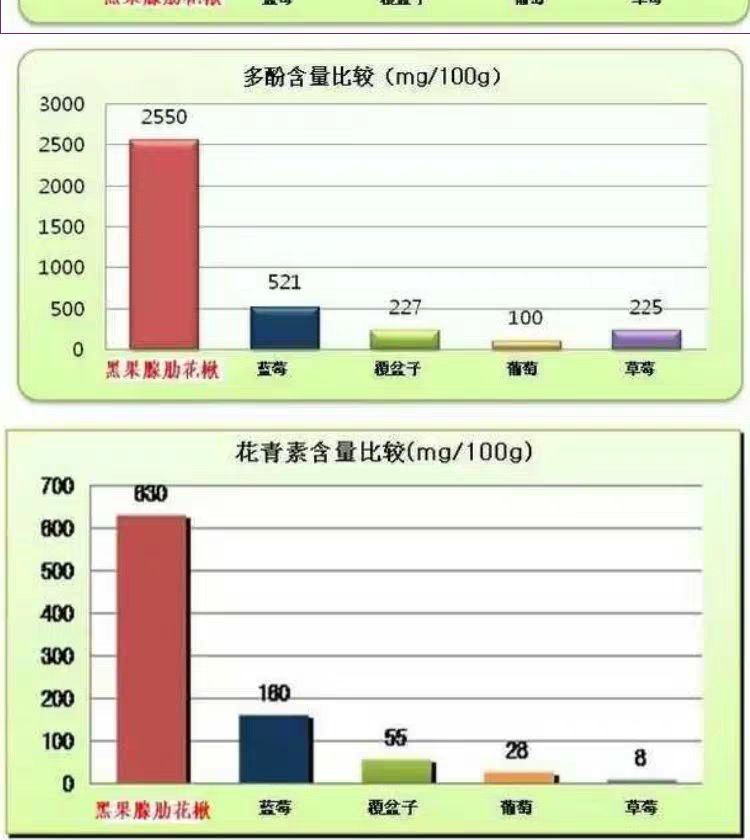 黑果花楸果 黑果腺肋花楸果鲜果(不老莓果/野樱莓)鲜果