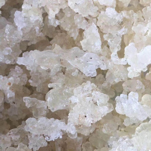 昆明雪燕