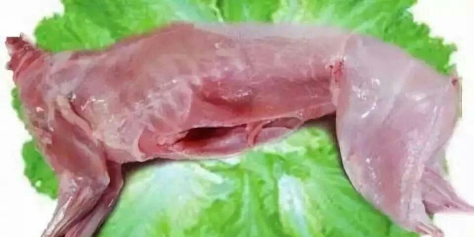 兔肉类 新鲜 