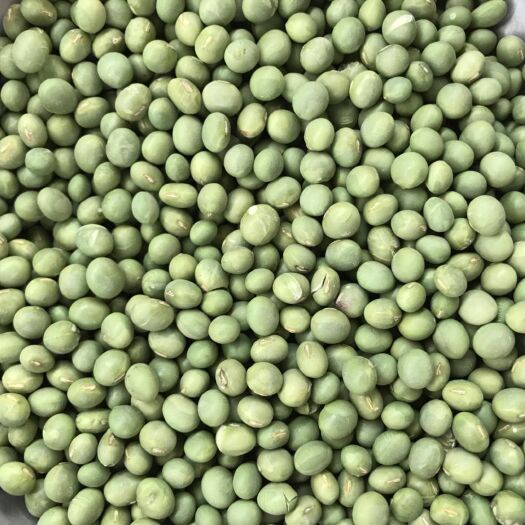 鱼台县双青豆 生大豆 1等品 