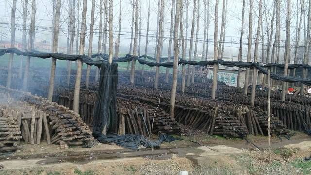  香菇小香菇干货蘑菇干香菇500g包邮野生菌类特级冬菇