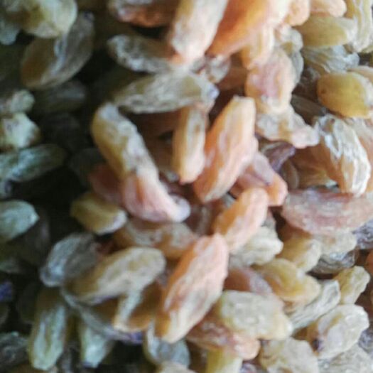 新疆绿葡萄干 一等 
