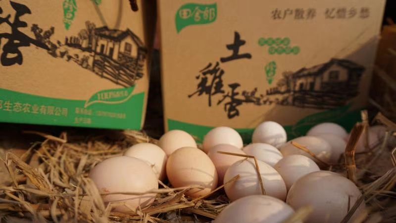 于都县土鸡蛋 食用 箱装 