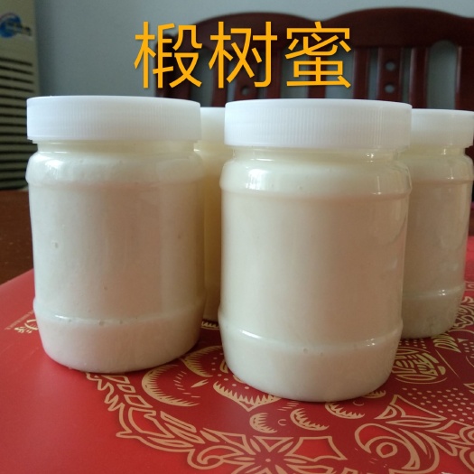 枣庄椴树蜜 塑料瓶装 2年  