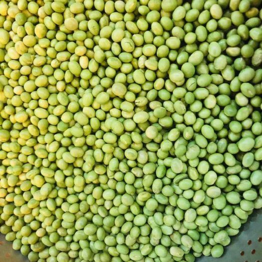 扎鲁特旗双青豆 生大豆 2等品 