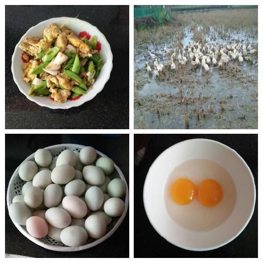 英山县土鸭蛋  食用 箱装 农家稻田散放养土鸭蛋，绿色食品