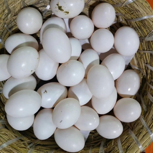 白蛋 箱装 食用