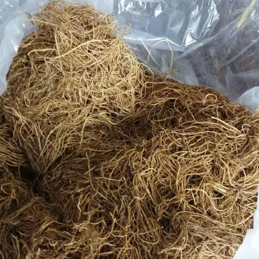 清原县龙胆草产区一手货源