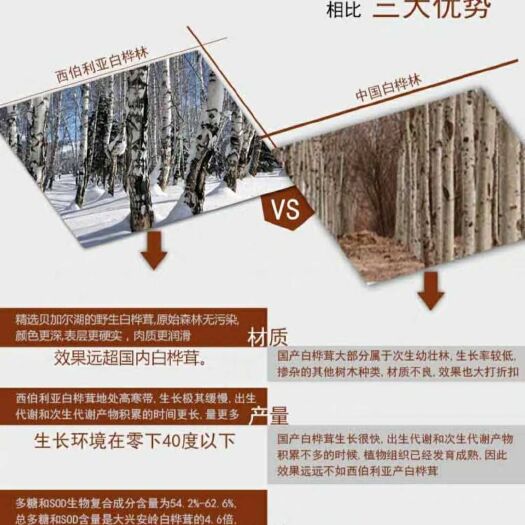 沈阳俄罗斯桦树茸 切块 袋装 