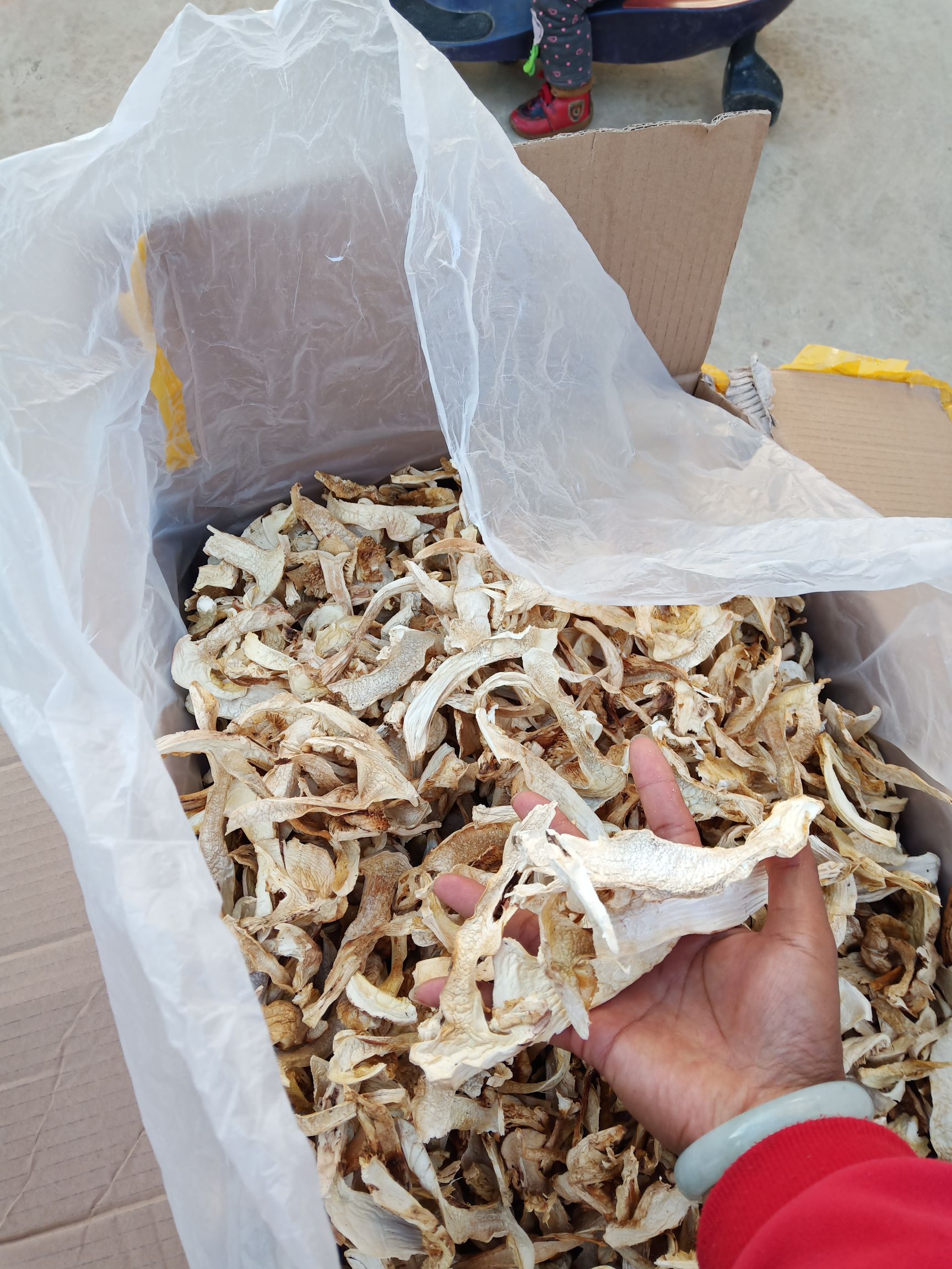 松茸 9cm-12cm 半开伞 干货  