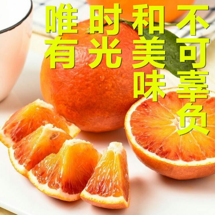 塔罗科血橙 血橙  包装泡沫箱纸箱