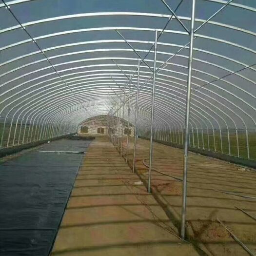 天津大棚管  养殖大棚，种植大棚，大棚配件