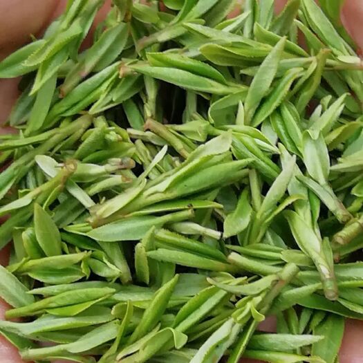 缙云县龙井茶 一级 散装 