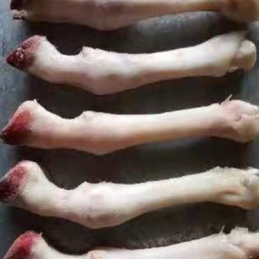 固原羊蹄 去毛简加工，带毛，长期有货。