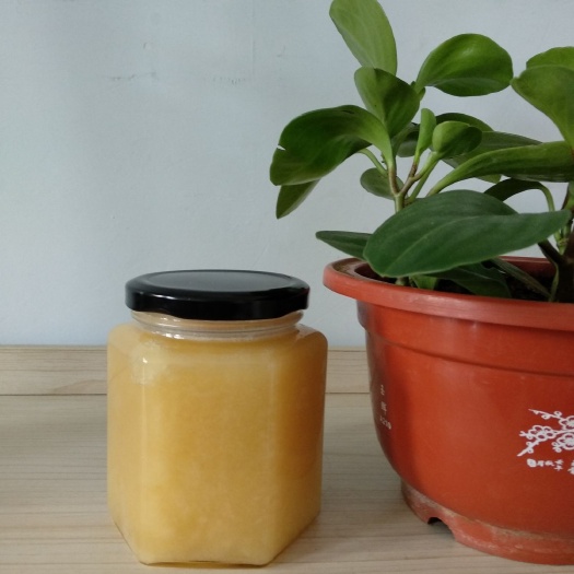 枣庄百花蜜 塑料瓶装 2年  