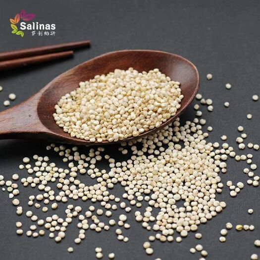 东莞市白藜麦 