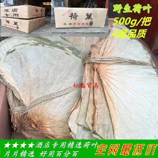 新丰县荷叶 