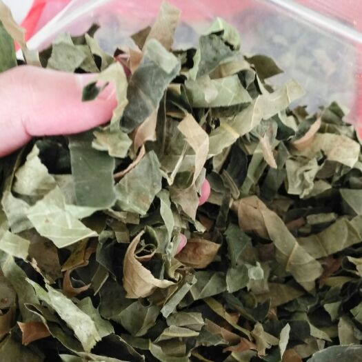 东兴市金花茶 一级 袋装