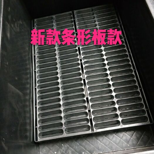 菏泽塑料筐 新款条形花生芽水培筐