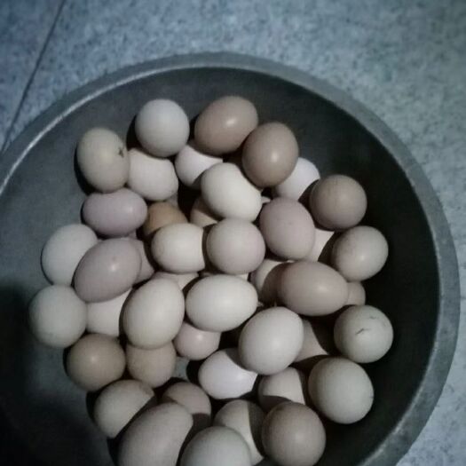 湘乡市土鸡蛋 食用 简包装 