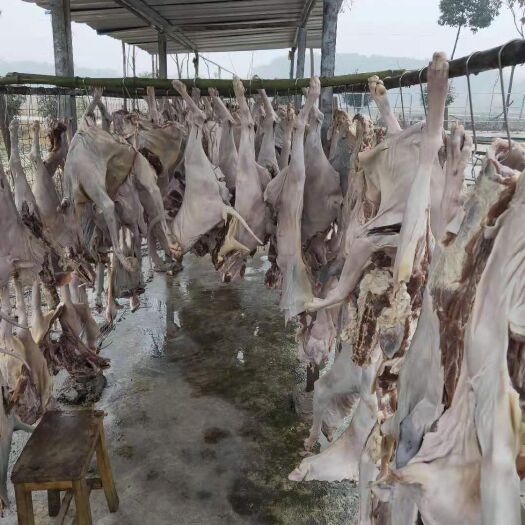 澧县腊猪脸 散装 