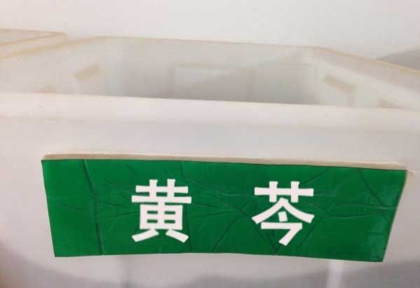 沭阳县黄芩种子 