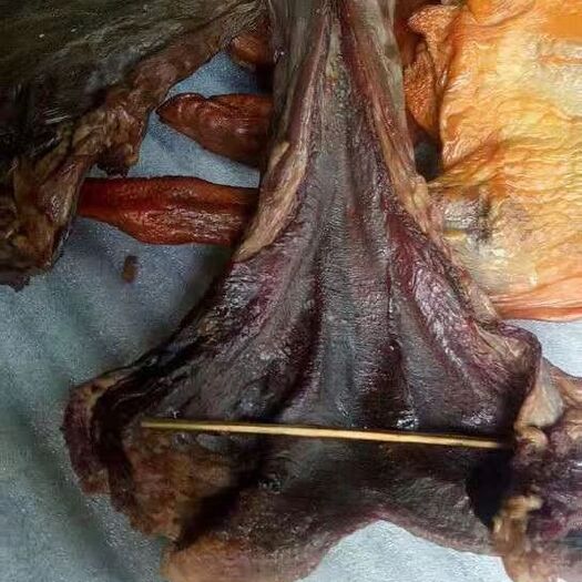 澧县腊猪脚 袋装 