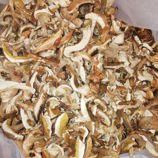 双柏县美味牛肝菌 干牛肝菌 野生牛肝菌 