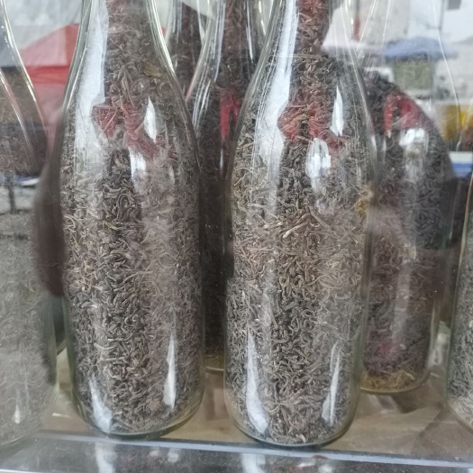 广州 高山绿茶 白叶单丛 新货 乌龙茶 高山 绿茶 山茶