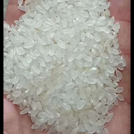 密山市胚芽米 一等品 晚稻 粳米 
