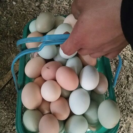 洞口县乌鸡蛋 食用 箱装