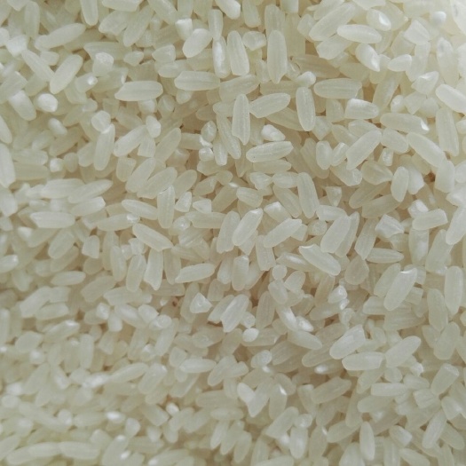 磐石市有机富硒米 一等品 一季稻 粳米 