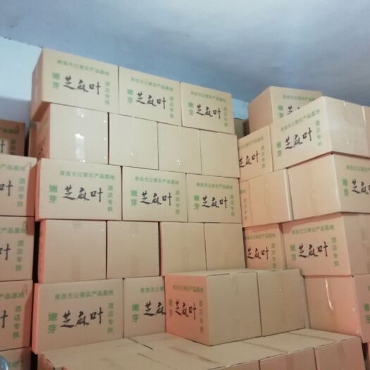 南阳干芝麻叶  18-24个月 大量供应干芝麻叶