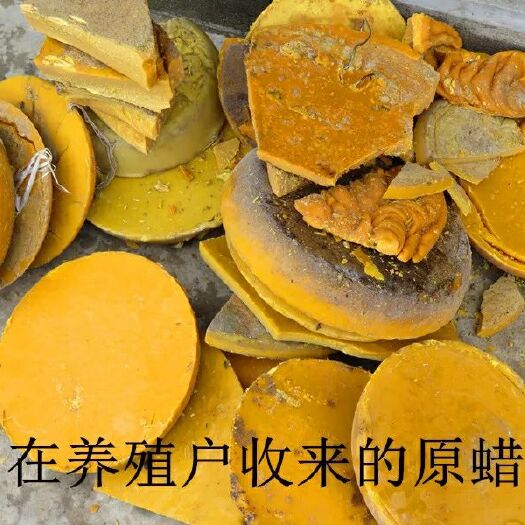 长葛市蜂蜡  24个月以上蜂蜡