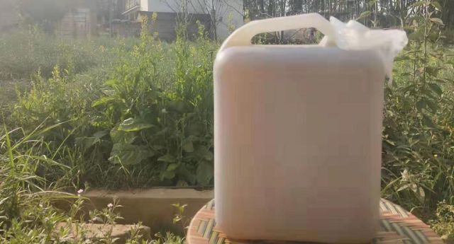 保山油菜籽油 