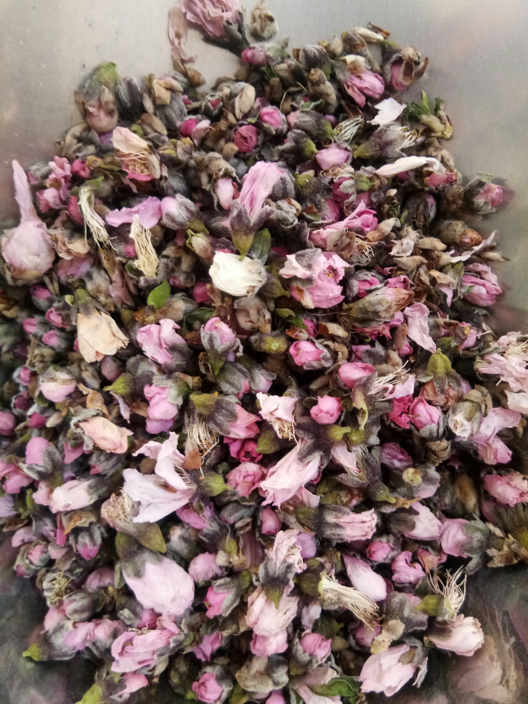 安国市桃花  茶 天然农产品优质 干无硫熏 泡茶便秘清肠一斤起包邮