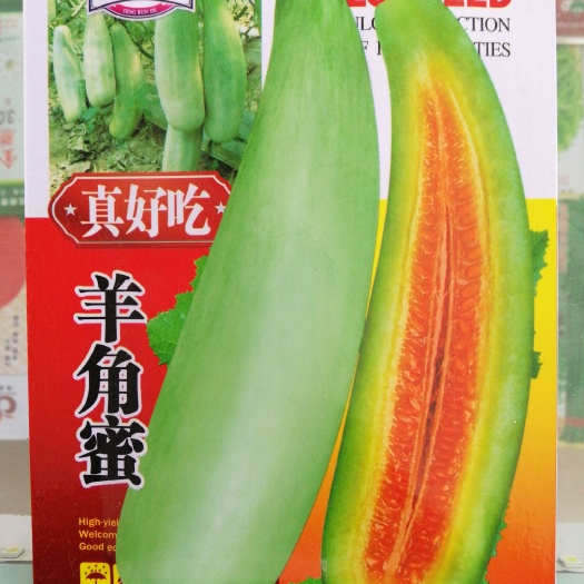 商丘羊角脆甜瓜种子 杂交种 ≥95% 