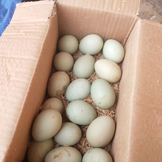 铜鼓县 货真价实绿壳土鸡蛋